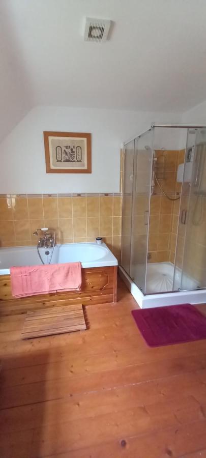 Large Family Home In Wexford Marys B&B Enniscorthy Exterior foto